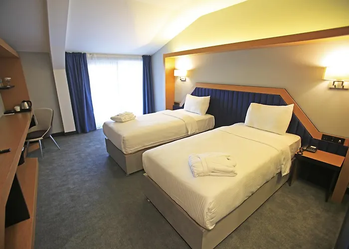 Roof 264 & Sakarya (Marmara)